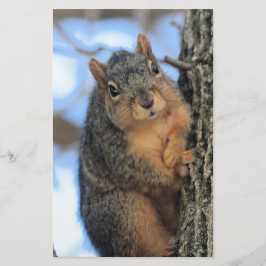 ぽちゃりと 便箋 (正面)