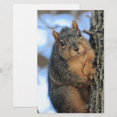 ぽちゃりと 便箋 (正面/裏面)