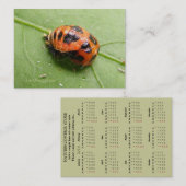 ぽっちゃりしたてんとう虫の蛹のカレンダーの~ 名刺 (正面/裏面)