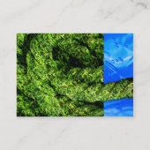 ぽっちゃりした水および草- 名刺 (裏面)