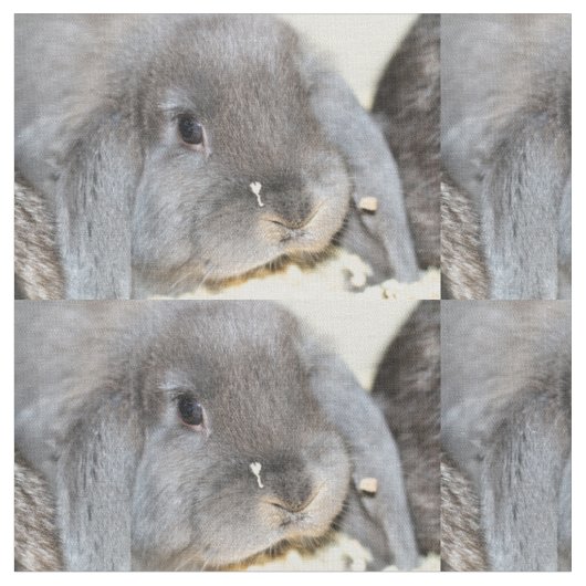 ぽっちゃりした頬 ファブリック (クローズアップ)