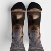 「ぽっちゃりチャーム：愛らしいオーストラリアのウォンバット」 ソックス (上部)