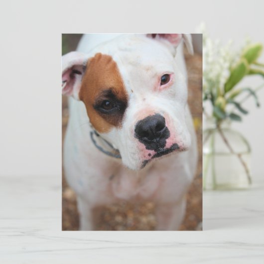 ぽっぺん 招待状 (スタンド正面)