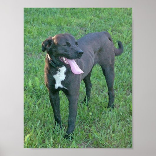 ぽんぽん笑う ポスター (正面)