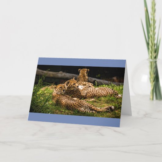 まぁ見えない！ カード (正面)