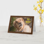 まさか「あなた」が**60**カードを カード (黄色い花)