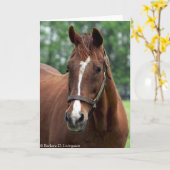 まさにそのポートレート カード (黄色い花)