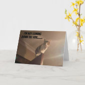 まじめな猫が「ハッピーバースデー」と言う カード (黄色い花)