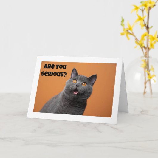 まじめな猫が「ハッピーファイブ誕生日」と言う カード (黄色い花)