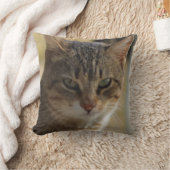まじめな猫の顔を暖かい色に写真したもの クッション (ブランケット)
