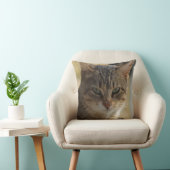 まじめな猫の顔を暖かい色に写真したもの クッション (椅子)