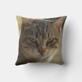 まじめな猫の顔を暖かい色に写真したもの クッション (裏面)