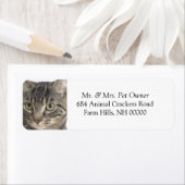 まじめな猫クローズアップ差出人住所ラベルシール ラベル (インサイチュ)