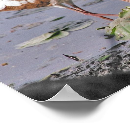 まず神の国を求め聖なる書物、 経典 ポスター (角)