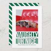 またいけなは素敵おもしろいなクリスマスペットカード シーズンカード (正面/裏面)