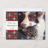 またはいけなあなたの挨拶に素敵な雪の結晶の赤 シーズンカード (正面)