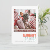 またはいけなニースシンプルペットホリデー写真 シーズンカード (スタンド正面)