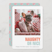 またはいけなニースシンプルペットホリデー写真 シーズンカード (正面/裏面)