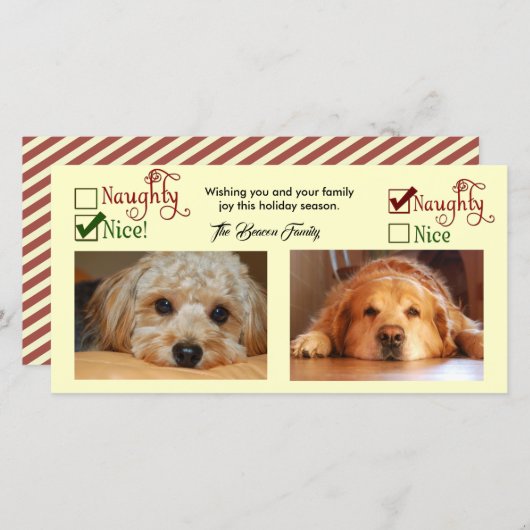 またはいけなニース2犬のクリスマスカード シーズンカード (正面/裏面)