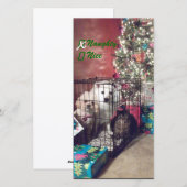 またはいけなニース シーズンカード (正面/裏面)