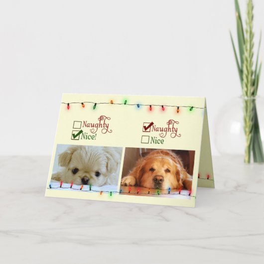 またはいけなニース シーズンカード (正面)