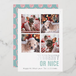 またはいけなニースPet 4写真ホイルホリデーカード 箔招待状