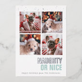 またはいけなニースPet 4写真ホイルホリデーカード 箔招待状 (正面)