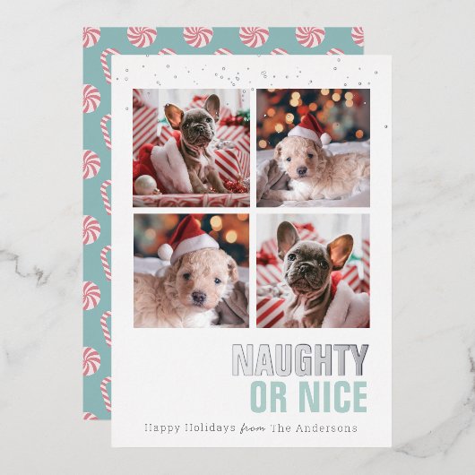 またはいけなニースPet 4写真ホイルホリデーカード 箔招待状 (正面/裏面)