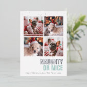 またはいけなニースPet 4写真ホイルホリデーカード 箔招待状 (立ち正面)