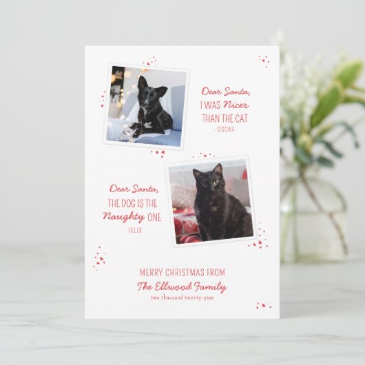 またはいけな素敵なペットおもしろいのクリスマスカード (スタンド正面)