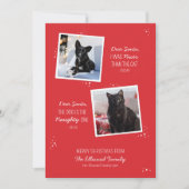 またはいけな素敵なペットおもしろいのクリスマスカード (正面)