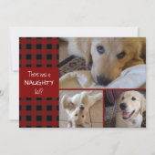 またはいけな素敵な赤い格子模様の幸せな休日3写真 シーズンカード (正面)