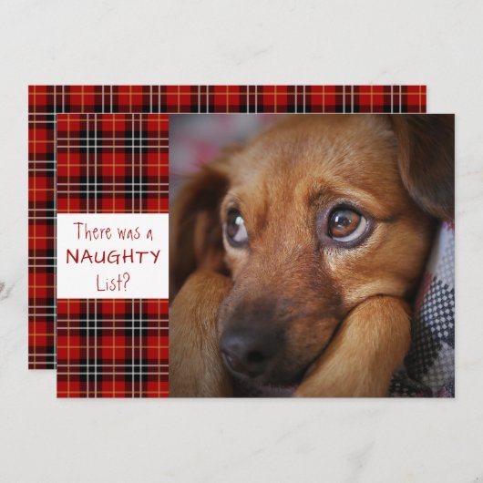 またはいけな素敵な赤い格子状のあいさつカスタムき シーズンカード (正面/裏面)