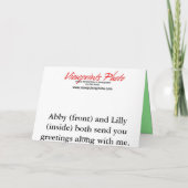 またはいけなNice Catカード シーズンカード (裏面)