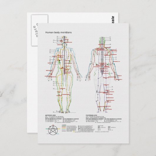 または人間中国の体経絡の概略 ポストカード (正面/裏面)