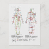 または人間中国の体経絡の概略 ポストカード (正面)