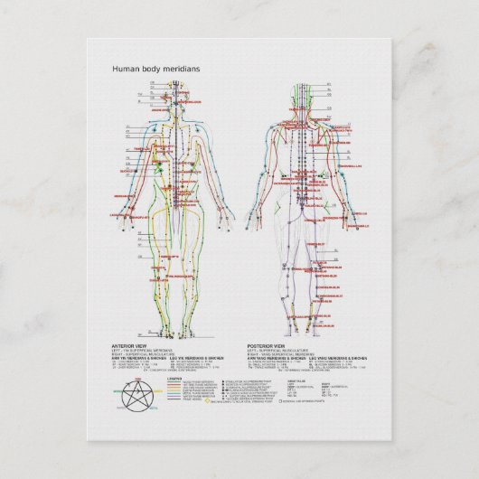 または人間中国の体経絡の概略 ポストカード (正面)
