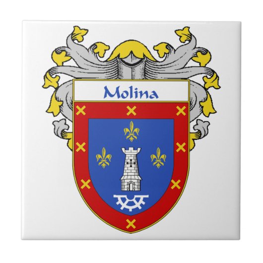 または家紋Molinaの紋章付き外衣 タイル (正面)