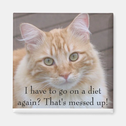 またダイエットに？ マグネット (正面)