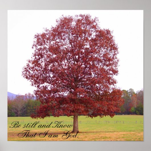 まだある ポスター (正面)