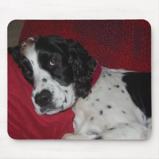 まだされていますか。 マウスパッド (正面)