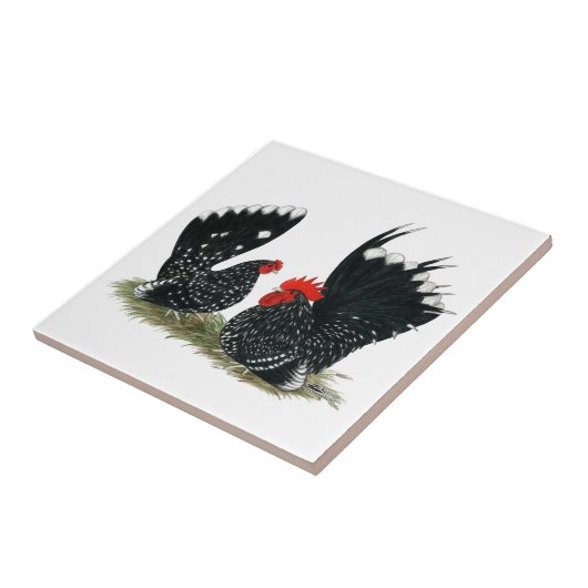 まだらにされる日本のなチャボ タイル (側面)