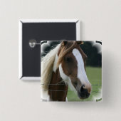 まだら馬の子馬の正方形Pin 缶バッジ (正面&裏面)