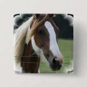 まだら馬の子馬の正方形Pin 缶バッジ