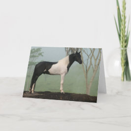 まだら馬の馬 カード