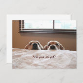 まだゴールデンレトリバーを起こしているか ポストカード (正面/裏面)