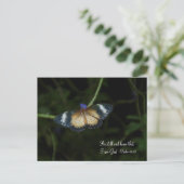 まだポストカード ポストカード (スタンド正面)