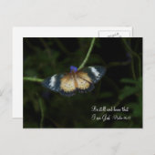 まだポストカード ポストカード (正面/裏面)