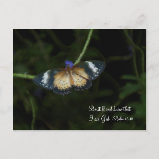 まだポストカード ポストカード