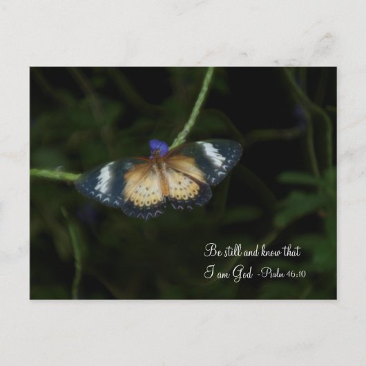 まだポストカード ポストカード (正面)